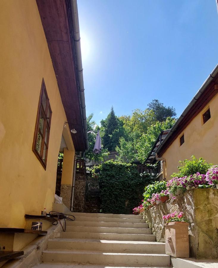Casa Cojo Apartment Sighişoara Exterior foto